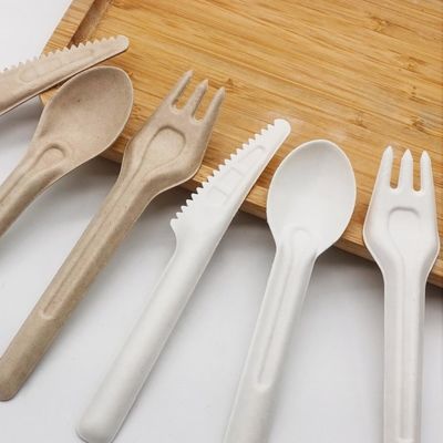 Biologisch afbreekbaar Vriendschappelijk Beschikbaar Bestek 141.7mm van Bagasseeco Composteerbare Vorken en Lepels