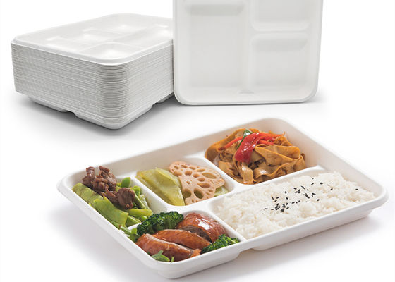 Vaatwerk 6 5 van de school Beschikbaar Biologisch afbreekbaar Bagasse het Dienblad van de 3 Compartimentenlunch