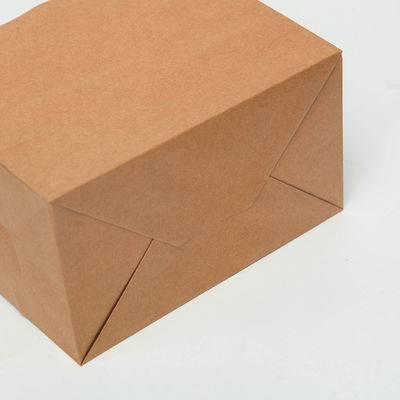 de Biologisch afbreekbare Beschikbare Zakken van het het Vaatwerk Pakpapier van 250gsm 300gsm met Handvatten