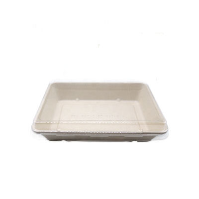 11g van het de Bagassevaatwerk van het vaatwerk Snelle Voedsel de Biologisch afbreekbare Sushi Tray With Pet Lid