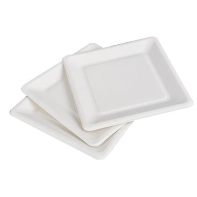 9in 10in Eco Vriendschappelijke Composteerbare Suikerrietdocument Vierkante de Cakeplaat van het Platendessert