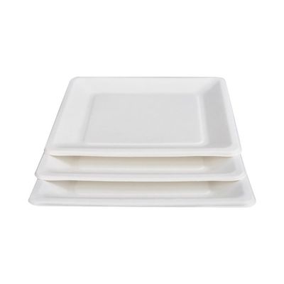 9in 10in Eco Vriendschappelijke Composteerbare Suikerrietdocument Vierkante de Cakeplaat van het Platendessert
