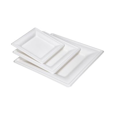 9in 10in Eco Vriendschappelijke Composteerbare Suikerrietdocument Vierkante de Cakeplaat van het Platendessert