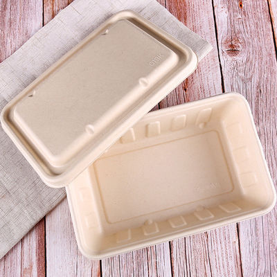 van het de Bagassevaatwerk van 450ml 550ml Natuurlijk Eco Biologisch afbreekbaar de Salade Snel Voedsel om te gaan Containers