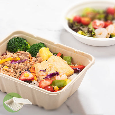 van het de Bagassevaatwerk van 450ml 550ml Natuurlijk Eco Biologisch afbreekbaar de Salade Snel Voedsel om te gaan Containers