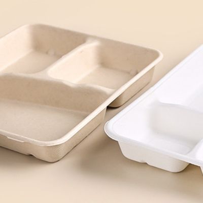 De beschikbare Rechthoekige Biologisch afbreekbare Dienbladen van de Suikerrietbagasse halen Dienbladen met Deksels weg