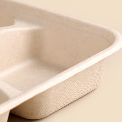 De beschikbare Rechthoekige Biologisch afbreekbare Dienbladen van de Suikerrietbagasse halen Dienbladen met Deksels weg