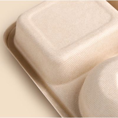 De beschikbare Rechthoekige Biologisch afbreekbare Dienbladen van de Suikerrietbagasse halen Dienbladen met Deksels weg