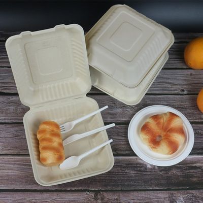 800ml de meeneem van de Bagasseclamshell van de Containersmicrogolf Veilige van de de Verjaardagspartij Beschikbare Platen