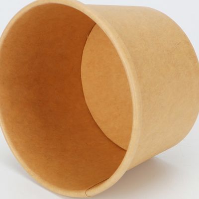 PLA die Beschikbare Biologisch afbreekbaar met een laag bedekken neemt het Document van Containerskraftpapier Soepkom 16oz 24oz