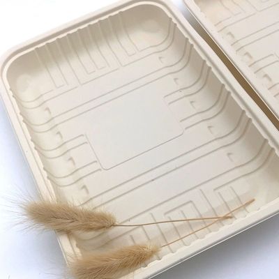 Biologisch afbreekbaar Verzegelbaar het Vaatwerk Bevroren Voedsel Tray Container 150mm van het Vleesmaïszetmeel