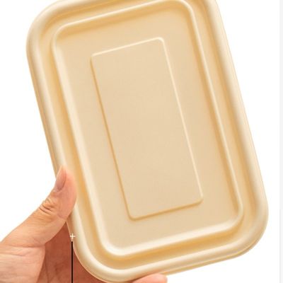 500 600ML Beschikbare Composteerbare van de de Lunchdoos van de Maïszetmeelmaaltijd het Snelle Voedsel Verpakkingsdoos