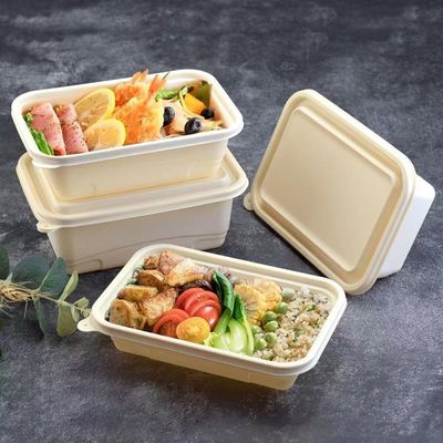 500 600ML Beschikbare Composteerbare van de de Lunchdoos van de Maïszetmeelmaaltijd het Snelle Voedsel Verpakkingsdoos